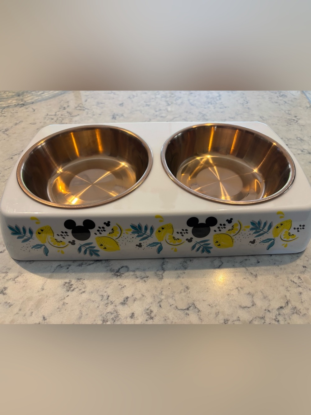 Disney Chewy Mickey Mouse Lemon Double Dog Cat Feeding Good Bowl Melamine